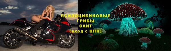 не бодяженный Богородицк