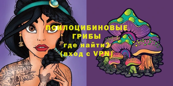 не бодяженный Богородицк