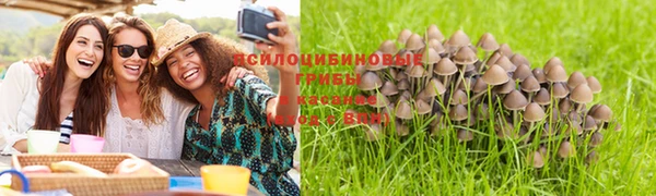 мяу мяу кристалл Богородск