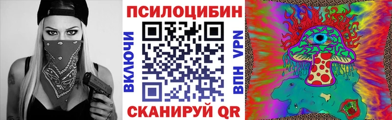 Псилоцибиновые грибы Psilocybe  Комсомольск 